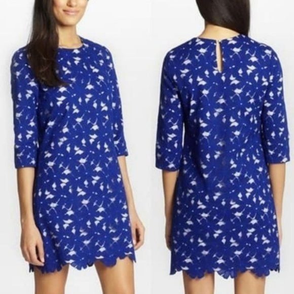 NWOT Cynthia Steffe lace 3/4 sleeve royal blue dress size 2 (272) - Picture 1 of 13